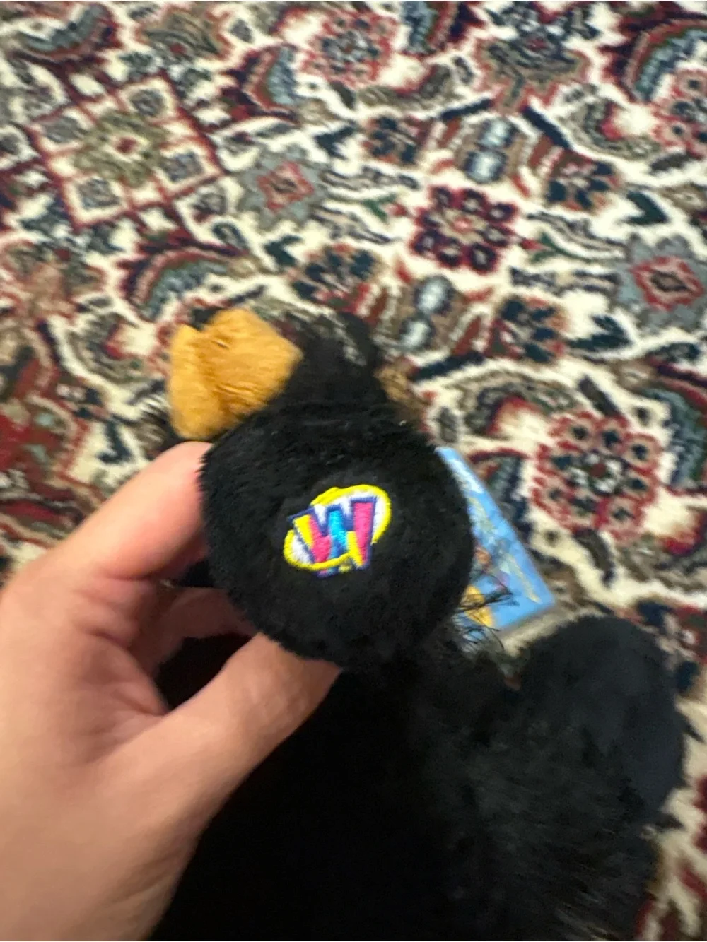 Webkinz Black bear